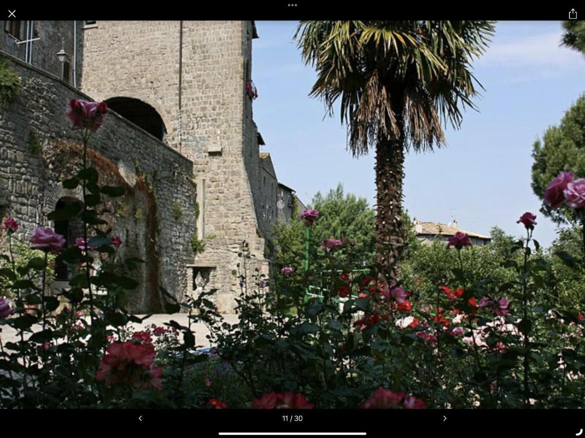 Nazareth Residence Viterbo Eksteriør billede